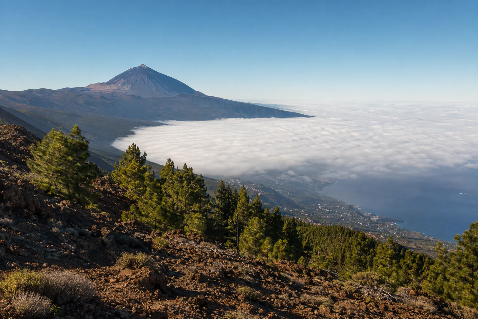 Tenerife en un día: Full Day privado